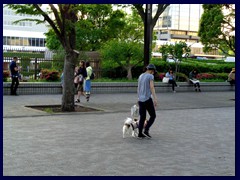 Shibuya at Yoyogi Park